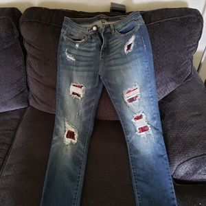 Judy Blue skinny Jeans